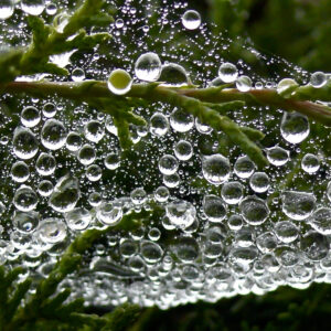Fotografía Naturaleza
